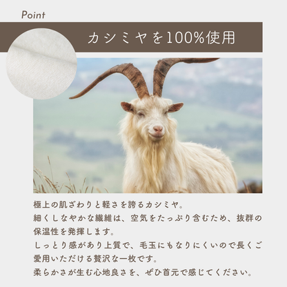 防寒ネックウォーマー カシミヤ100%