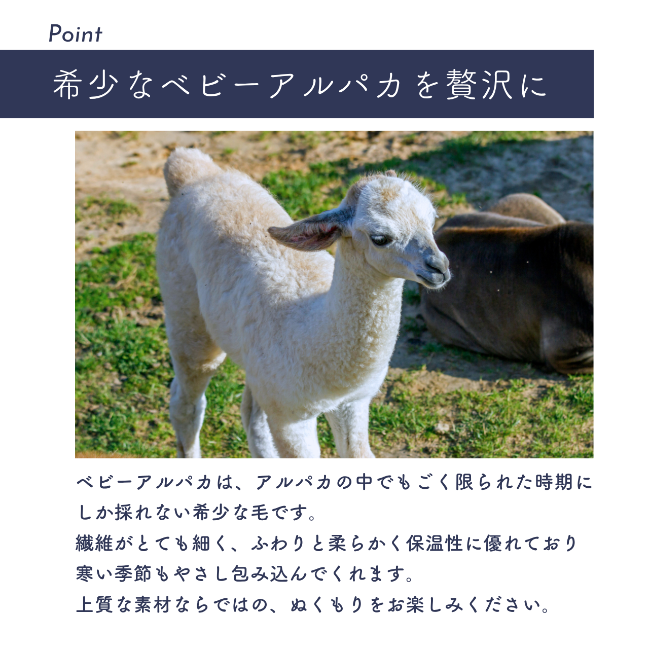 ベビーアルパカ100％ ボートネック セーター