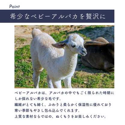 ベビーアルパカ100％ Vネック セーター