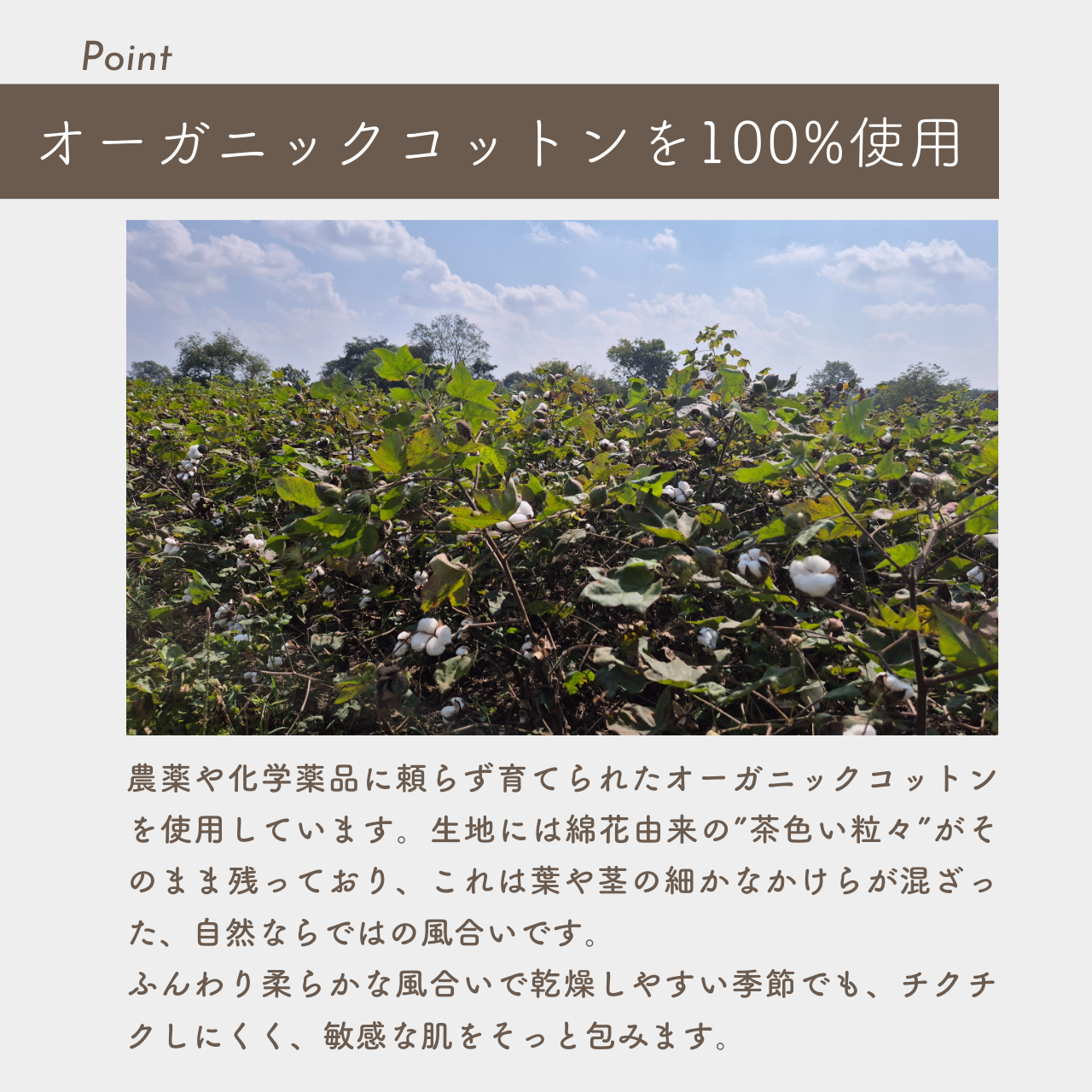 〈限定10枚〉オーガニックコットン100% ふんわり起毛ネックウォーマー